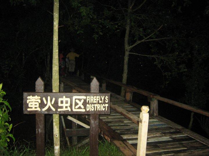 25560_383775938745_3577576_n