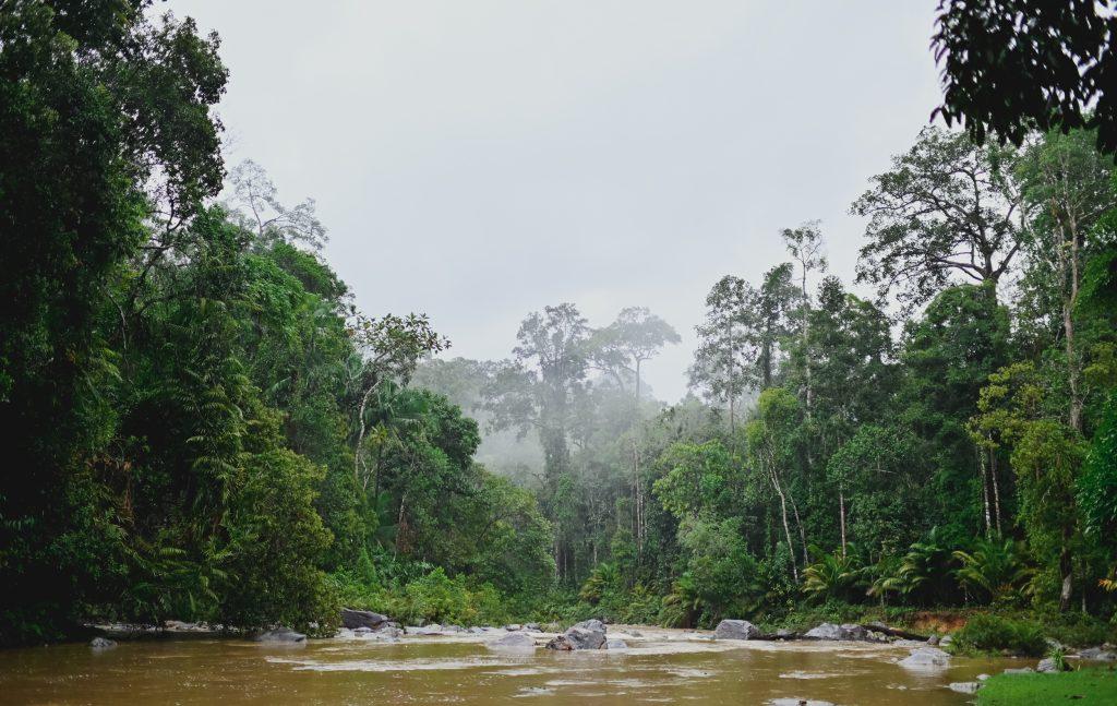 Taman Negara Endau Rompin Segamat, Johor