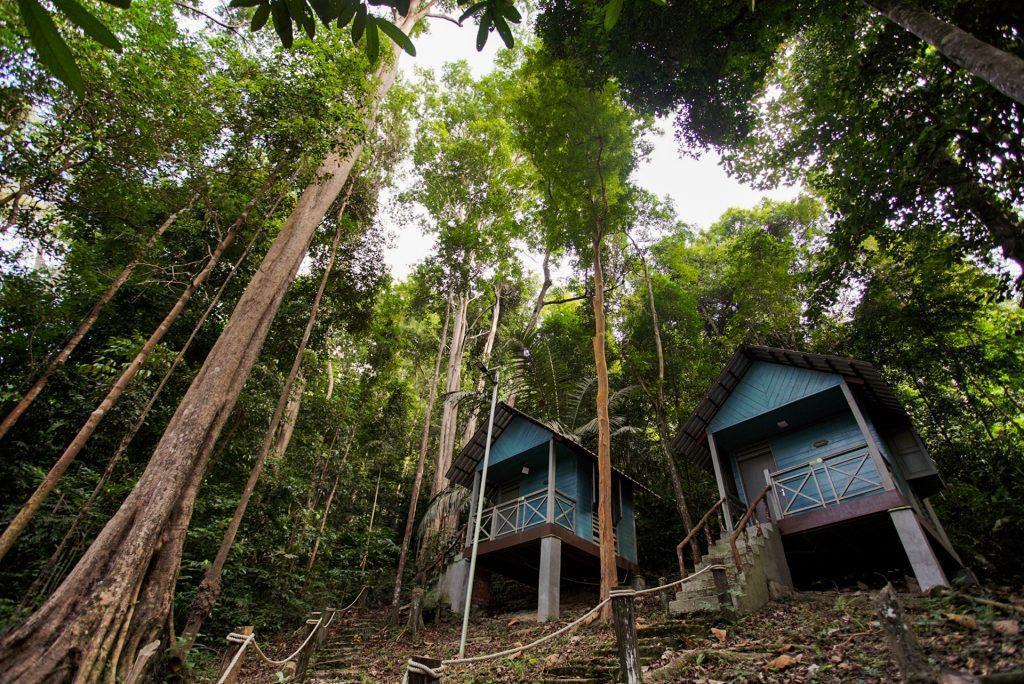 Taman Negara Gunung Ledang, Tangkak, Johor