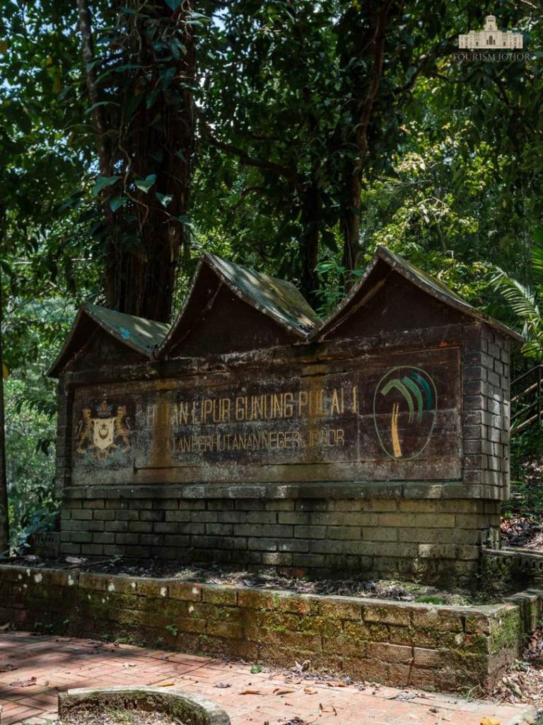 245621136_4382920935134167_7752712861684463555_n